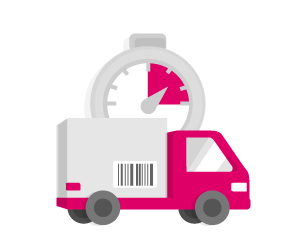 Shipping & Delivery