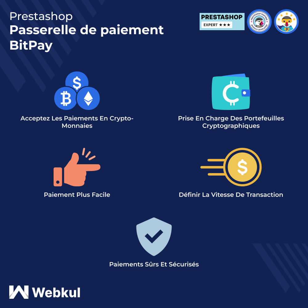 Paiement BitPay | Accepter paiement en crypto-monnaies